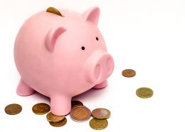 Companion Life Bonus Program